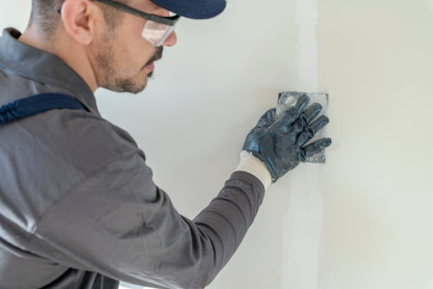 Best Residential Painting  in Benicia, CA